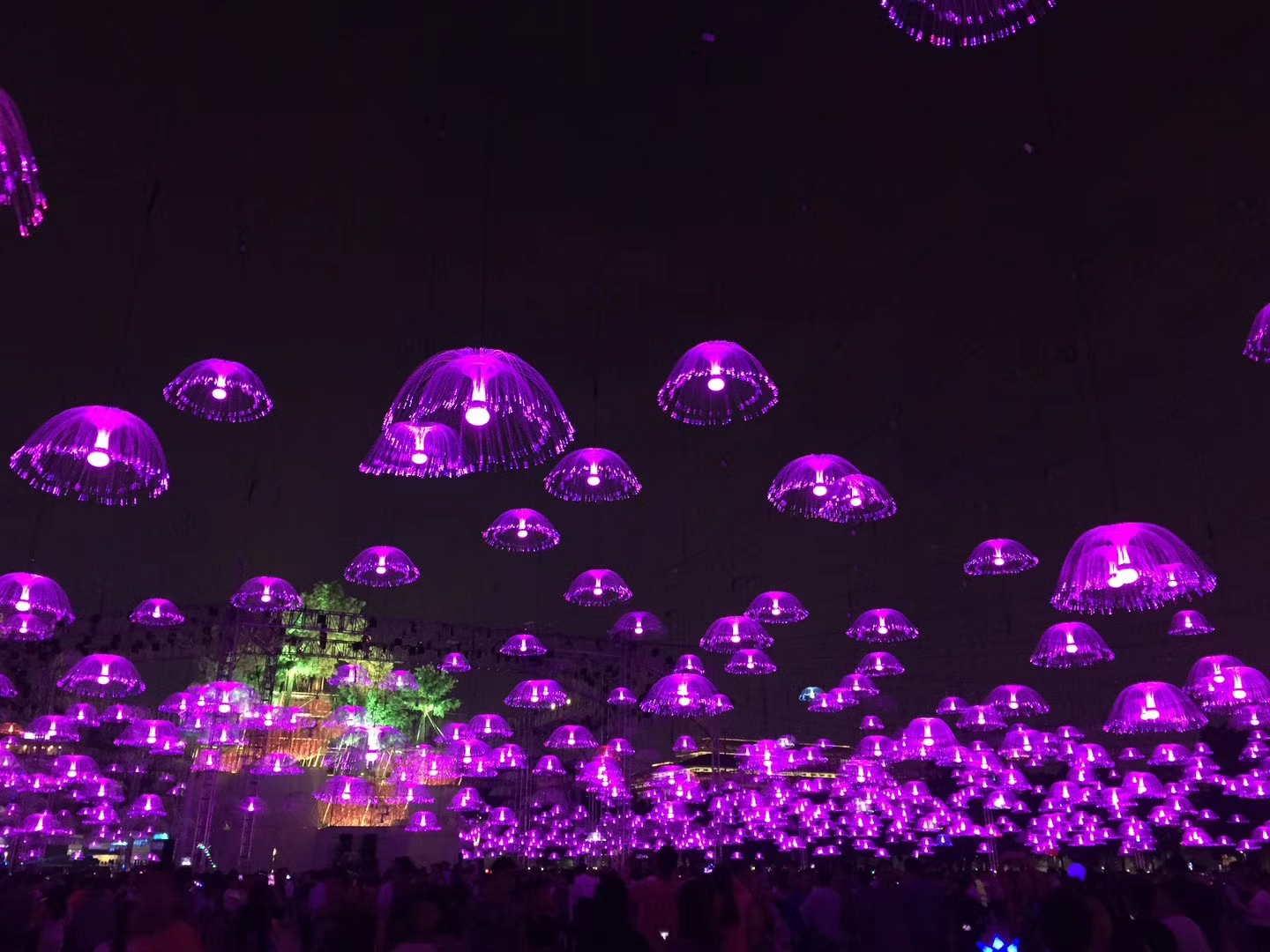 LED水母燈