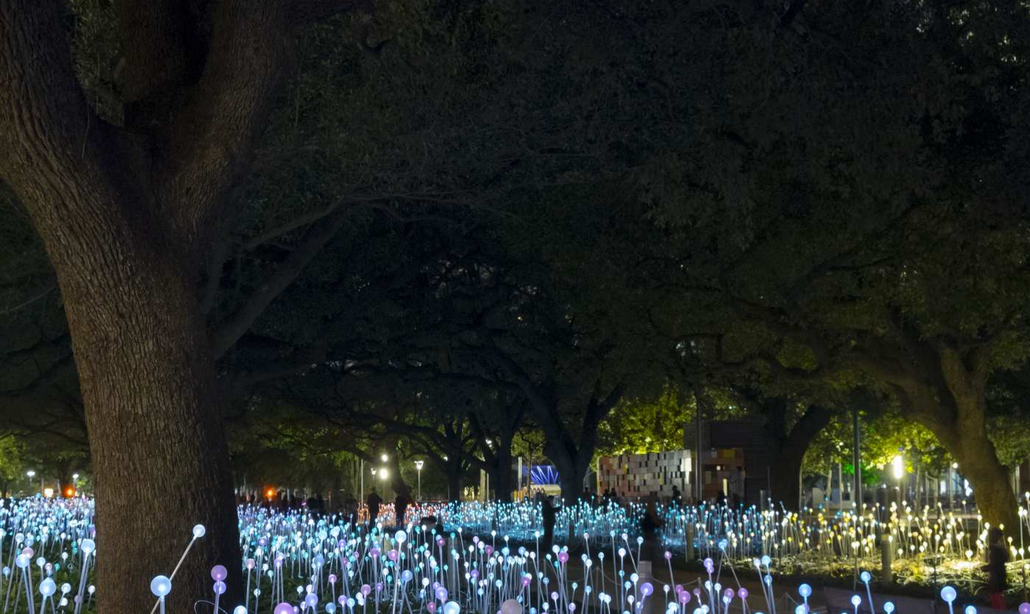 LED光纖燈