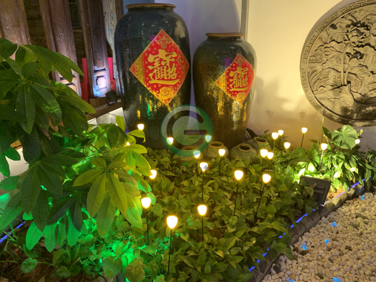 蘆葦燈 蘆葦燈