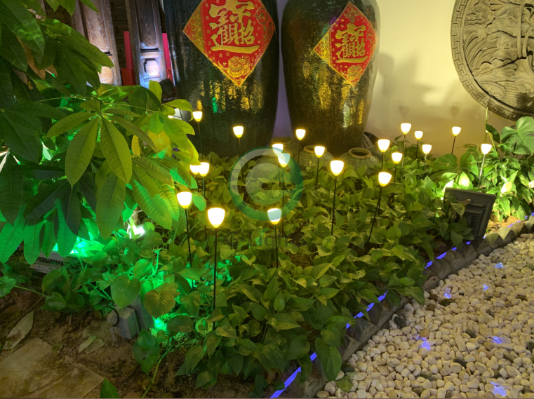LED蘆葦燈 LED蘆葦燈