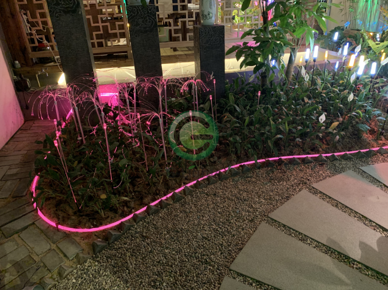 蘆葦燈 蘆葦燈